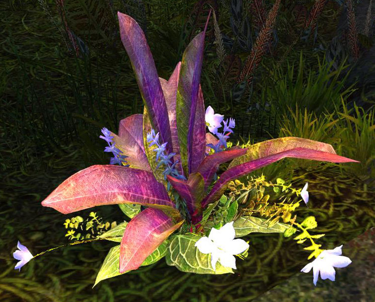 File:Jungle Plants.jpg