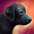 Thumbnail for version as of 21:12, 18 October 2022