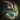 Mini Kirin.png