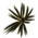 Mursaat Backpack Glider Combo.png