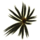 Mursaat Backpack Glider Combo.png