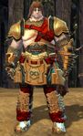 Pirate norn male 5.jpg