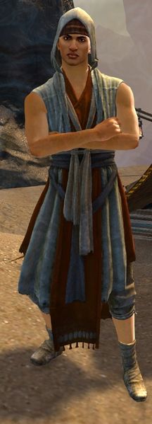 File:Seeker Yildir.jpg