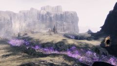 Ustulate Barrens.jpg