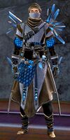 Male Crystal Nomad