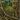 Akk Wilds map.jpg