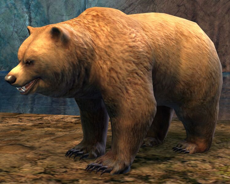 File:Bear (NPC).jpg