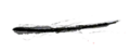 Thumbnail for version as of 11:46, 4 March 2021