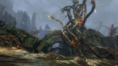 Desmina's Hallows.jpg