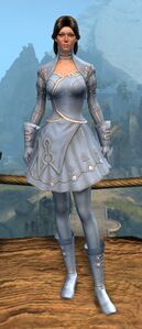 Appearance on light armor.