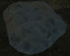 Guano-Incubated Spider Eggs.jpg