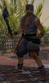 Hamaseen Enforcer.jpg