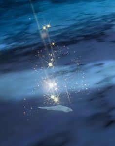 Ice Shard (bundle).jpg