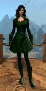 Appearance on light armor.