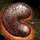 Mordrem Thrasher Kidney.png