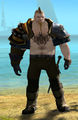 Thumbnail for version as of 13:52, 19 August 2013