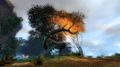 Thumbnail for version as of 03:07, 19 March 2016