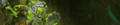 Thumbnail for version as of 04:04, 6 July 2022