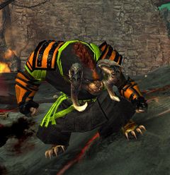Veteran Rebel Lunatic.jpg