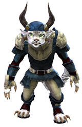 Worn Chain armor charr female front.jpg