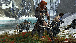 2009 December norn 03.jpg