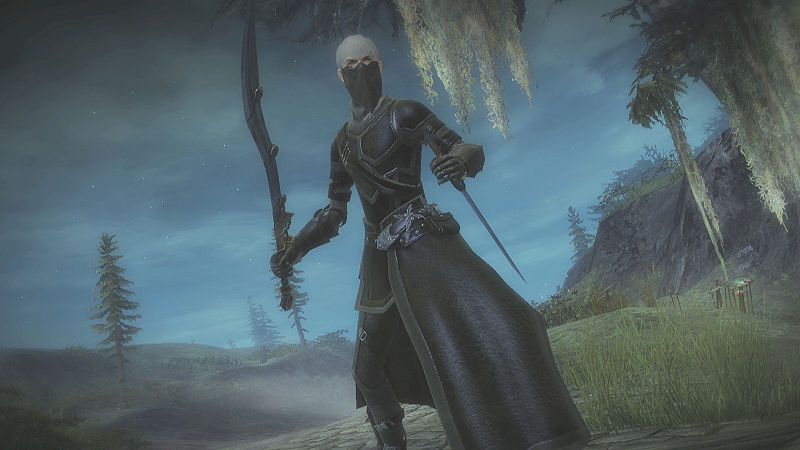 File:2011 March male human thief.jpg