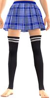Blissful Skirt.jpg