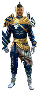 Carapace armor (light) human male front.jpg