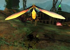 Firefly (Whitland Flats).jpg