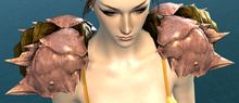 Island Shoulder.jpg