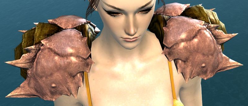 File:Island Shoulder.jpg