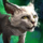 Mini White Journeykit.png