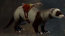 Mischievous Ferret Warclaw Skin.jpg