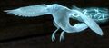 Spirit raven projectile.