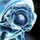 Primeval (roller beetle skin).png