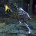 Risen Jester.jpg
