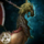 Wolf Raider Skiff Skin.png