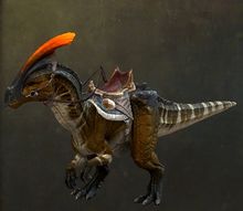 Crested Plainsrunner.jpg