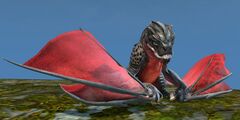 Juvenile Fire Wyvern.jpg