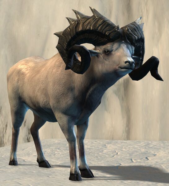 File:Longhorn Ram.jpg