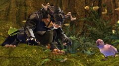 Nasica Grizzlefur.jpg