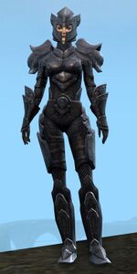 Appearance on heavy armor.