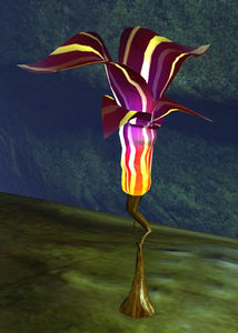 Nightmare Thorn Pod.jpg