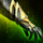 Obsidian Heavy Gauntlets.png