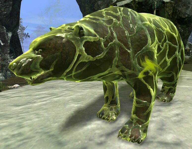 File:Polar Bear (unleashed).jpg