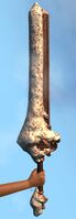 Sugardrift Sword.jpg