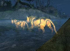 Tiger Blood.jpg