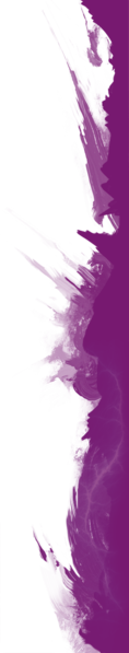 File:User Infinite border left.png