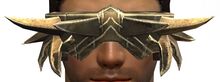Veil Piercer.jpg