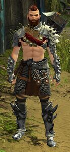 Bandit Brawler male.jpg